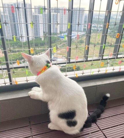 Lưới an toàn ban công cho mèo