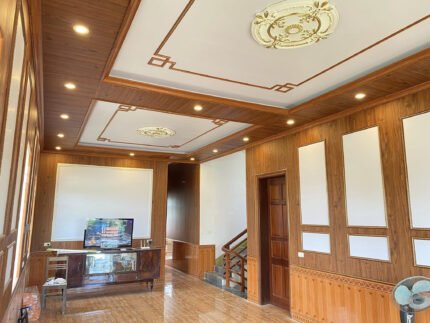 Trần nhựa pvc nano – tn19