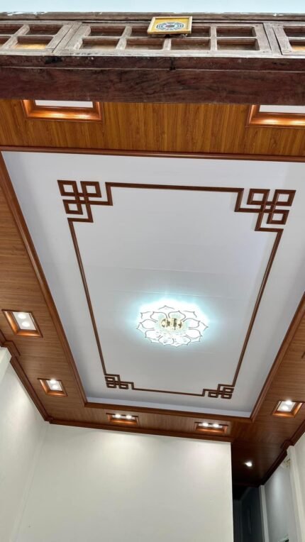 Trần nhựa pvc nano – tn21