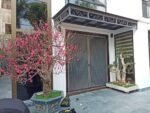 Cửa chống muỗi xích bi