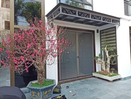 Cửa chống muỗi xích bi
